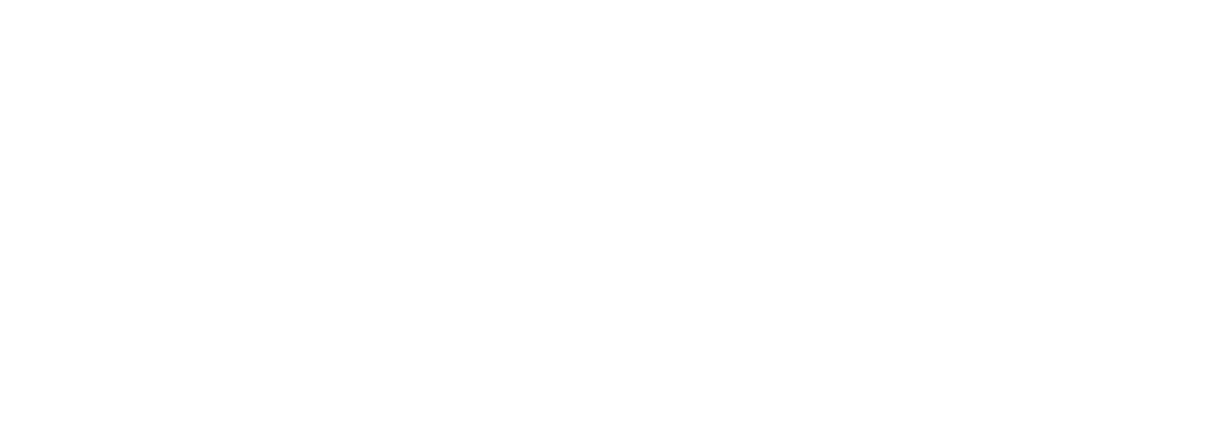 Arctic Air Inc. Logo